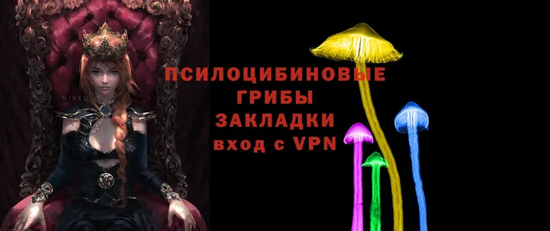 Галлюциногенные грибы Cubensis  Барабинск 